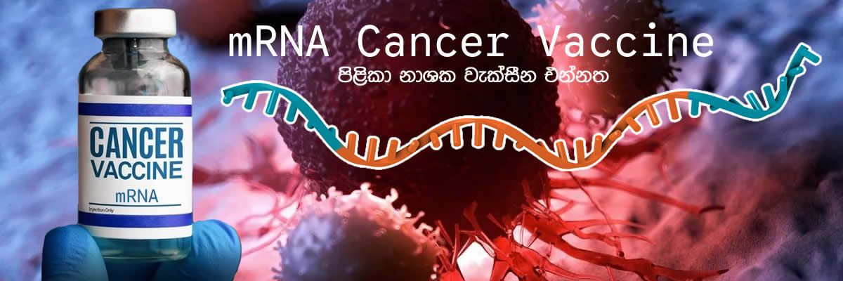 රුසියානු පිළිකා එන්නත - පිළිකා නාශක mRNA වැක්සීන එන්නත